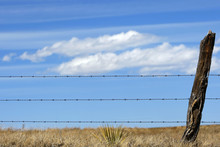 Barbed Wire Fence Against A Country Sky