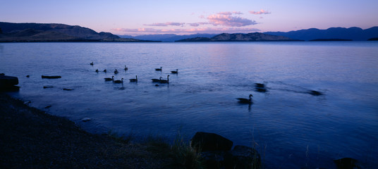 Flathead Lake Montana