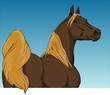brown arabian horse vector