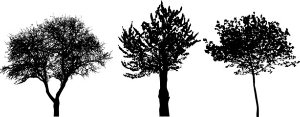 trees - vector set