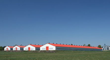 Poultry farm