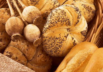 Canvas Print - Variety of bread