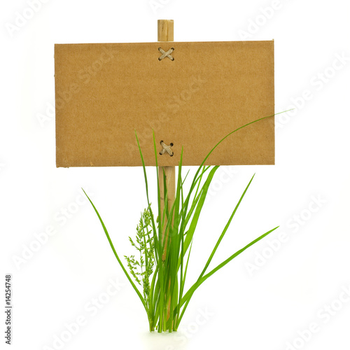 Fotografie, Obraz panneau d'information et brin d'herbes détouré - fond blanc