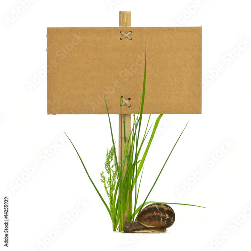 Panneau D Information Et Brin D Herbes Detoure Fond Blanc Buy This Stock Photo And Explore Similar Images At Adobe Stock Adobe Stock