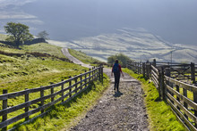 Hiker In Lake District