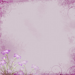 Wall Mural - Lavender Floral Background