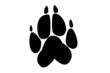 paw print of wolf