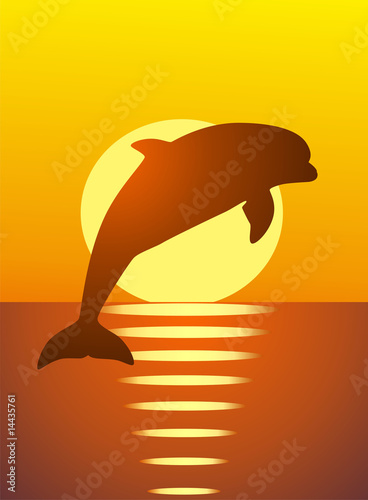 Foto-Duschvorhang nach Maß - Dolphin (von Kasa_s)