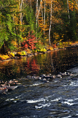 Wall Mural - Fall forest and lake shore