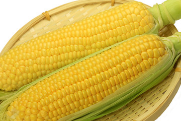 Sticker - corn