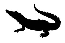 Black Silhouette Of Alligator