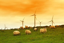 Modern Windmills In The Dawn, Scotland