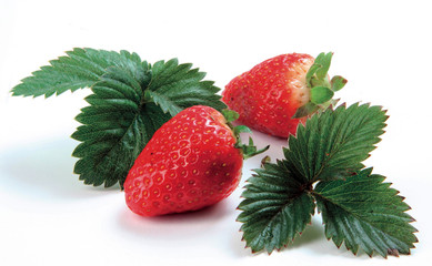 Wall Mural - Fresh strawberries isolated on white background