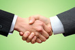 © PUBLICITY - handshake business_green