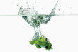 Wasser Frosch 1