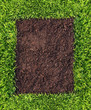Grass and soil frame