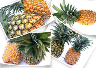 Canvas Print - quatre photos courbes d'ananas