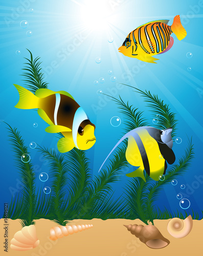 Foto-Banner aus PVC - Exotic fish under water (von Alegria111)