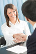 © vgstudio - Businesspeople, or business person and client handshaking