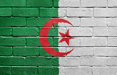 Wall Mural - Flag of Algeria on brick wall