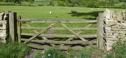 Wall Mural - cotswolds landscape