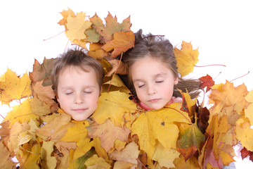 Wall Mural - twins in the leaves