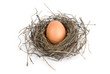 © spaxiax - egg in bird's nest over white background