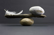 Leinwandbild Motiv feather and stone balance