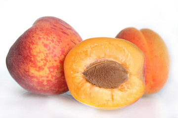 Sticker - Apricots and Peaches