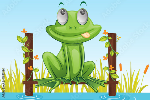 Foto-Lamellenvorhang - frog (von GraphicsRF)