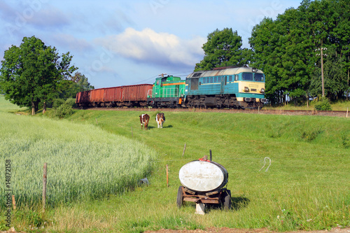 Fototapeta na wymiar Cottage scene with a freight train