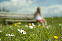 Daisy And A Young Girl Sitting On A Bench