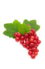 Wall Mural - red currants on white background