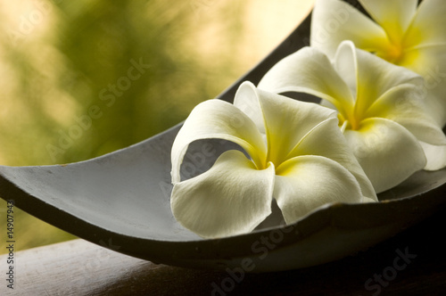 Naklejka dekoracyjna Tropikalne żółte kwiaty