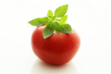 Wall Mural - tomate et basilic