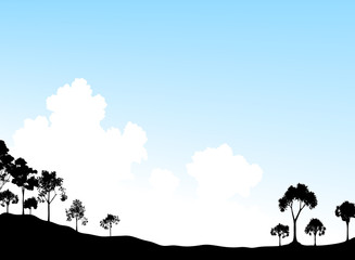 Wall Mural - Trees and sky