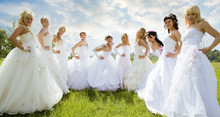 Groups Of Bride On Green Grass