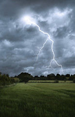 lightening strike over field landscape