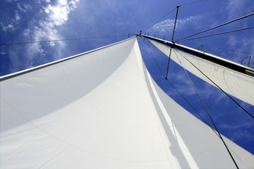 Wall Mural - Sailboat sailing blue sea on sunny summer day