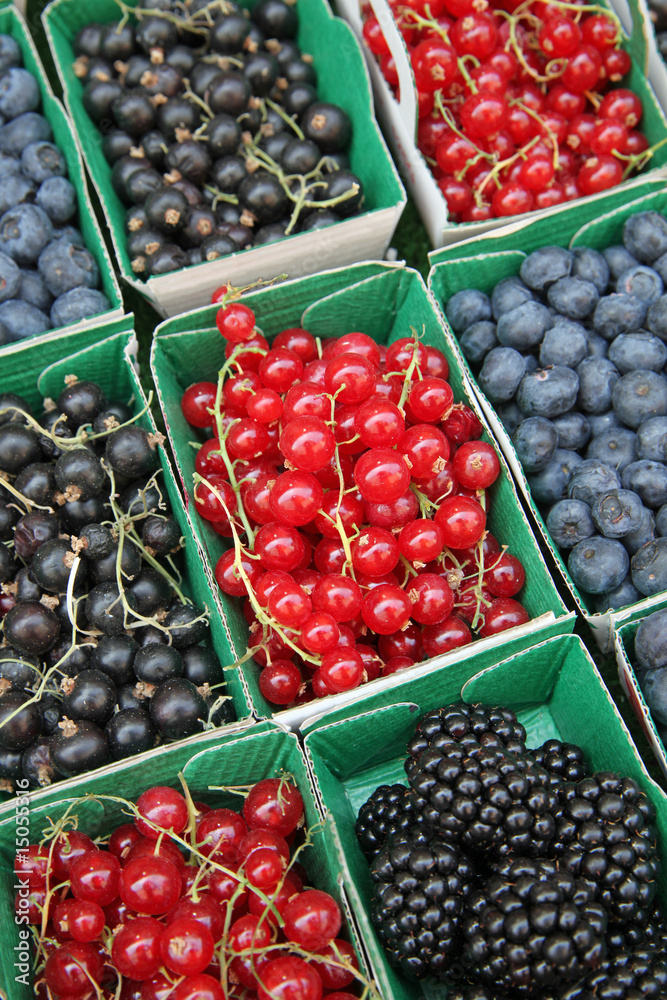 画材 Cassis Rouge Sanderson / ONE SIXTY WALLPAPER COLLECTION / Rose And Peony