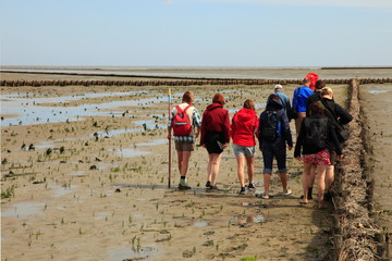 UNESCO Weltnaturerbe, Nordsee Wattenmeer, Wattwanderung