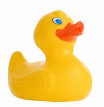 Yellow Rubber Duck Isolated On A White Background
