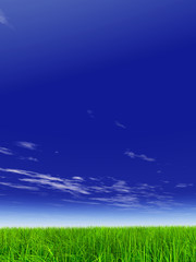 green grass over a blue sky with white clouds as background