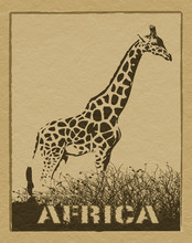 African Poster