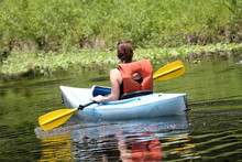 Woman Kayaking In The Wetland