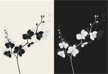 Beautiful Orchid With Shadow, Duotone Vector Illustration