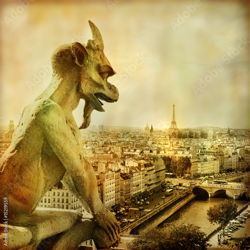 view of Paris from Notre dame - artistic style picture
