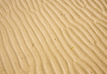  some waves in the sand