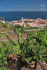 Wall Mural - Panorama Garachico