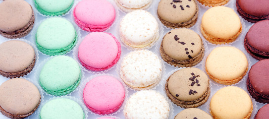 Canvas Print - Assortiment de macarons